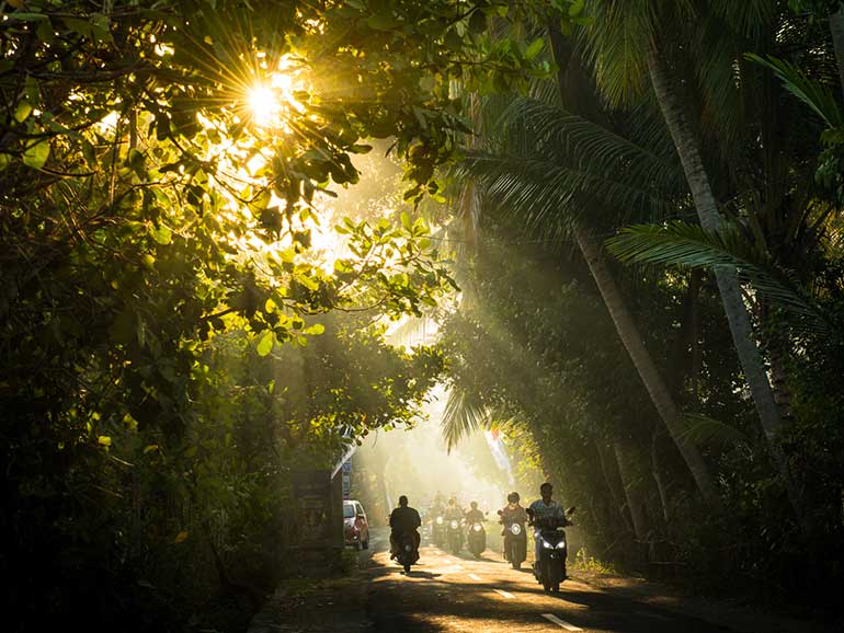 banjar nyuh early morning