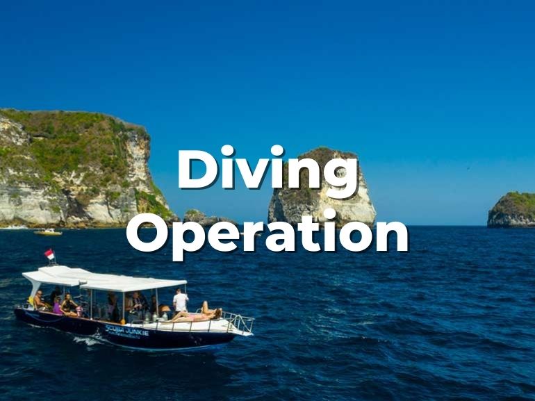 dive operation procedures