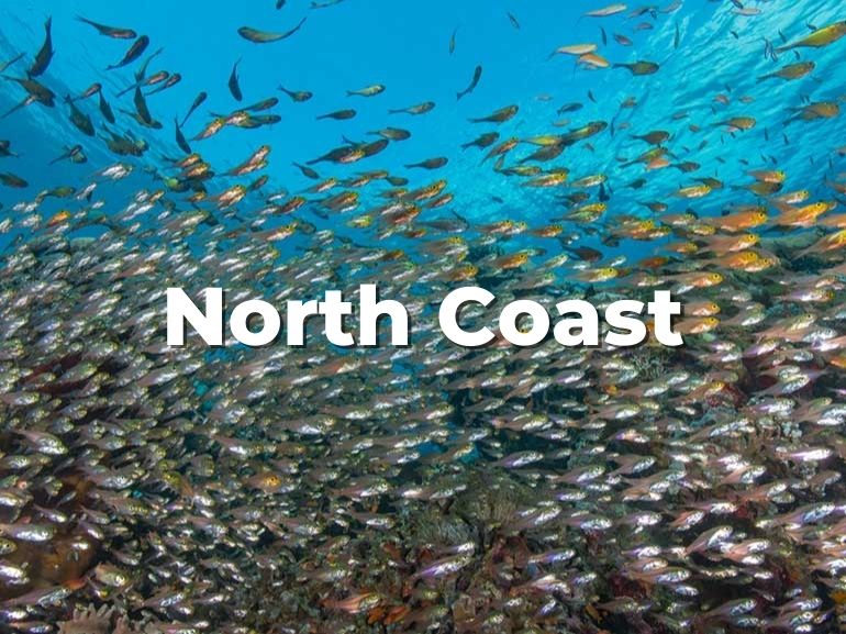 nusa penida north coast