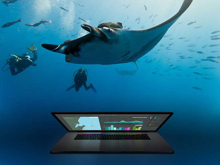 manta matcher dive the data