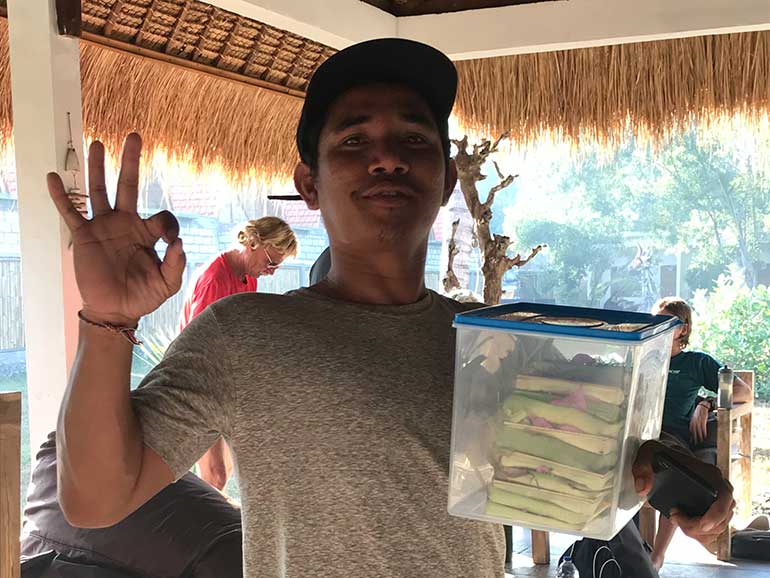 alternatives to single use plastic