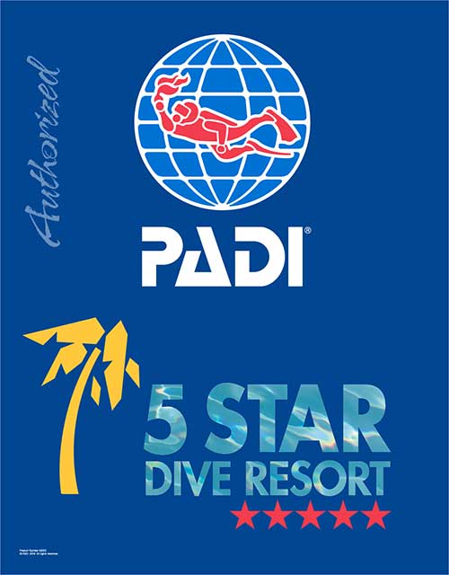 padi 5 star dive resort