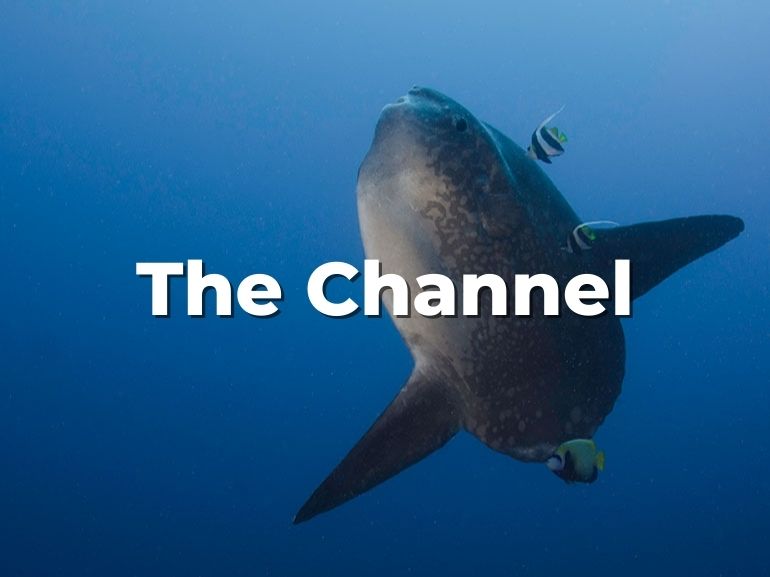 the channel nusa penida