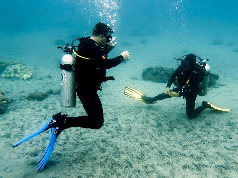 Specialty courses | Scuba Junkie Penida Specialty courses | Scuba Junkie Penida