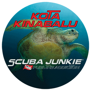 scuba junkie kota kinabalu