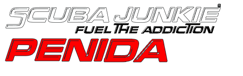 scuba junkie penida logo