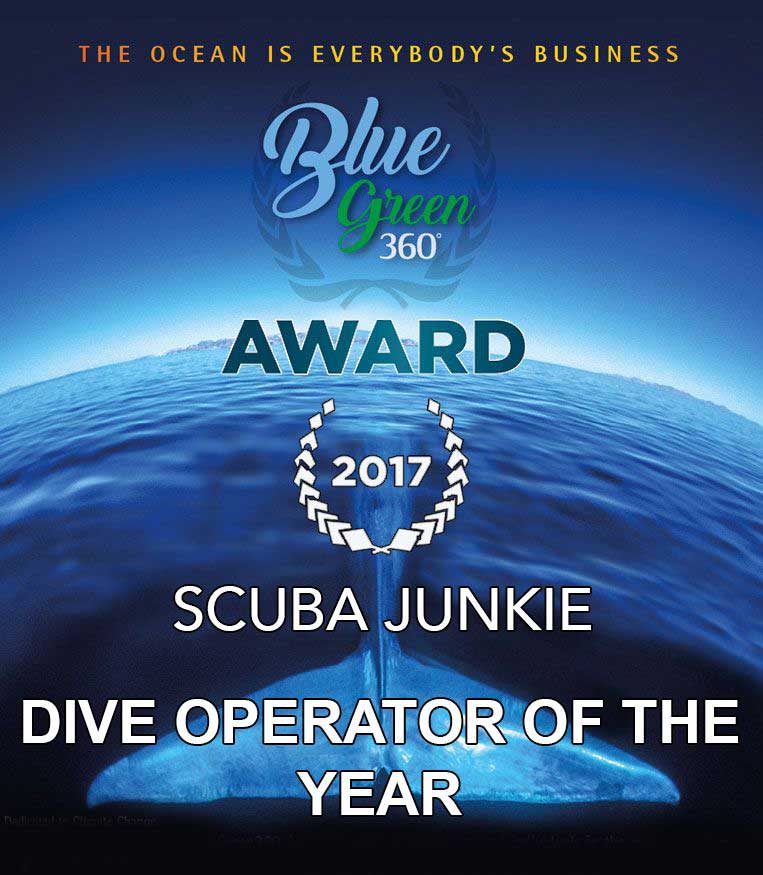 dive operator of the year award