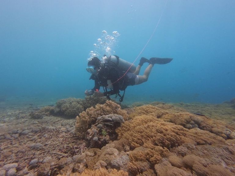 Wetsuit for Nusa Penida warm season