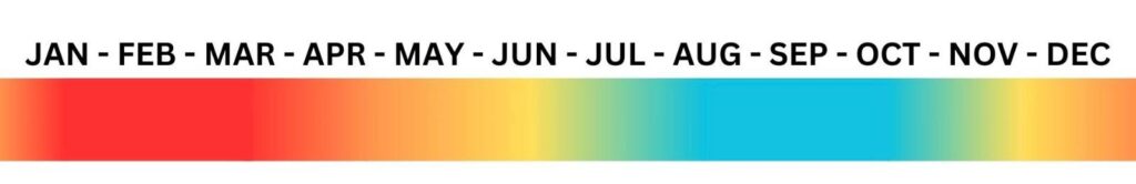 Wetsuit for Nusa Penida